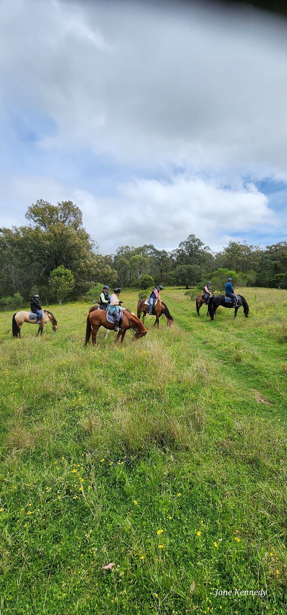 YellowScone Trail Riding Weekend campout