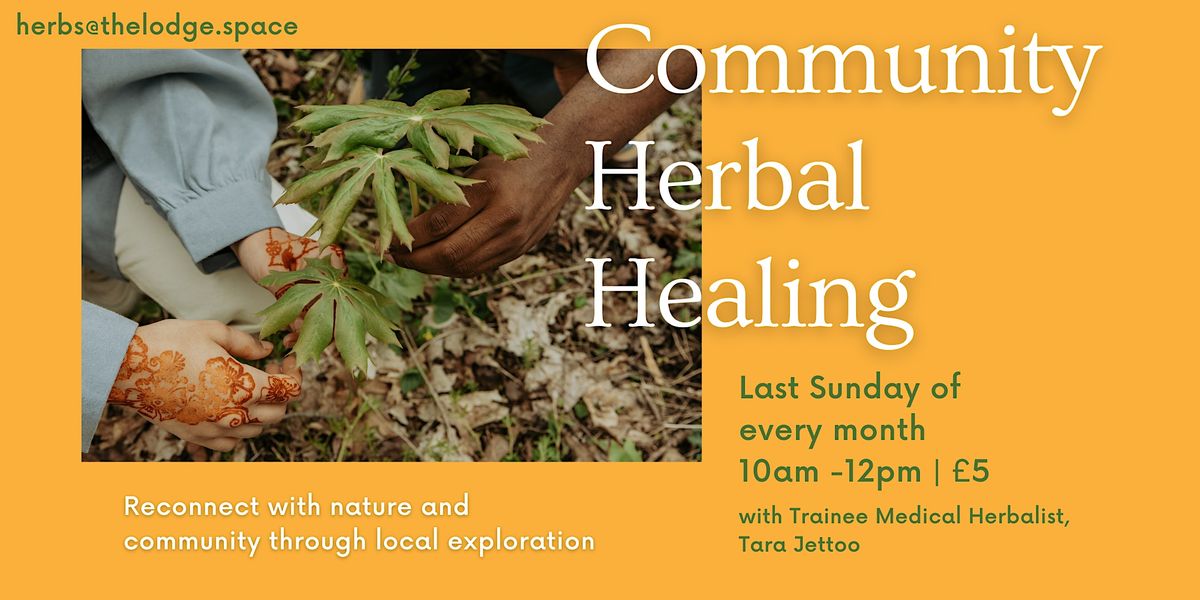 Community Herbal Healing: Reconnect with nature through  local exploration