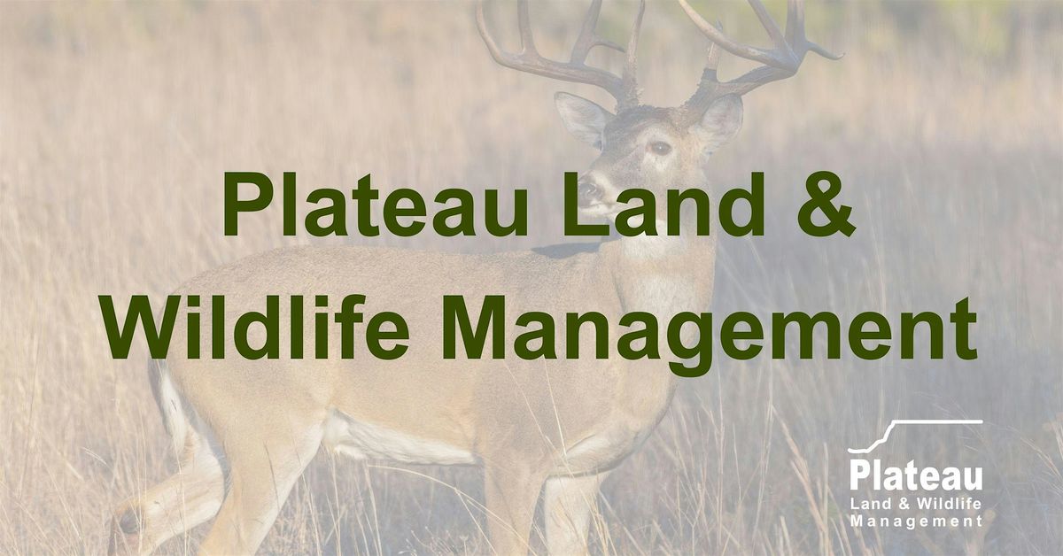 Maintain Your Low Property Taxes with Wildlife Management - Grapevine