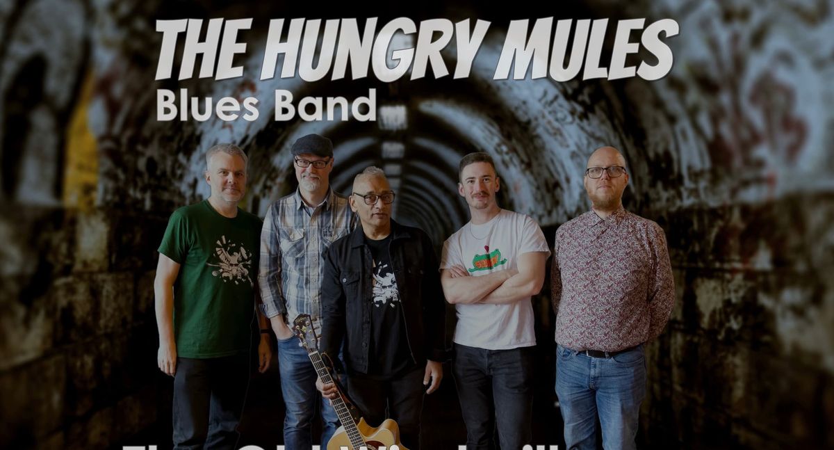 Friday Night Music: The Hungry Mules Blues Band 