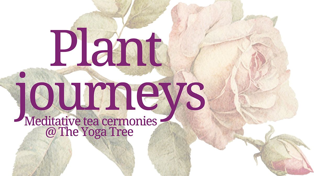 Plant Journeys - Meditative tea ceremony