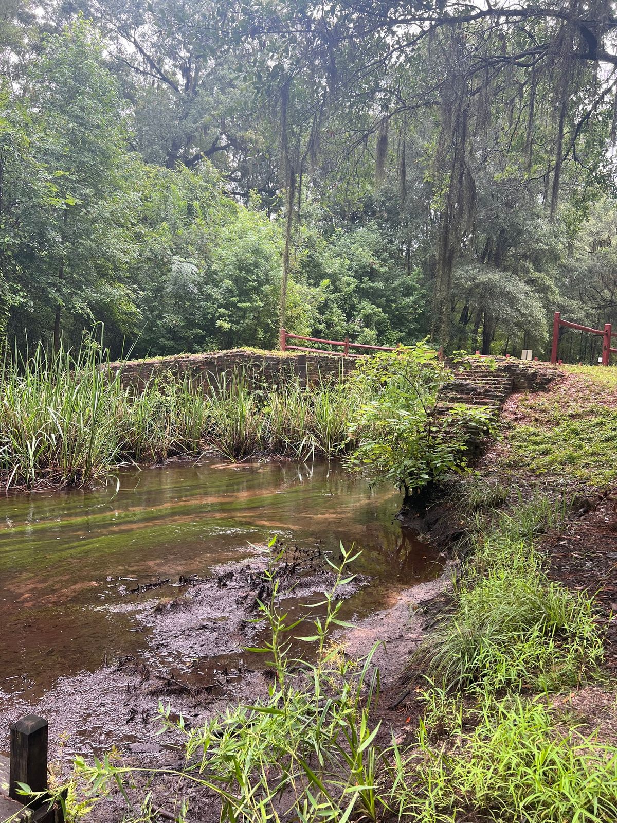 Savannah Sultry Swamp Run