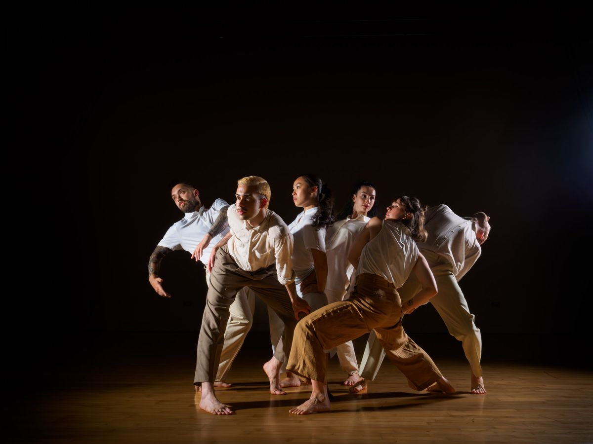 Fault Lines by Lila Dance