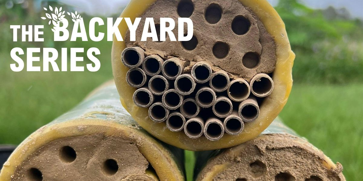 The Backyard Series: Homes for Native Bees