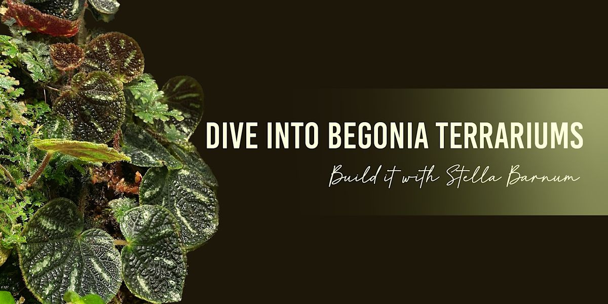 Dive Into Begonia Terrariums: Build It with Stella Barnum