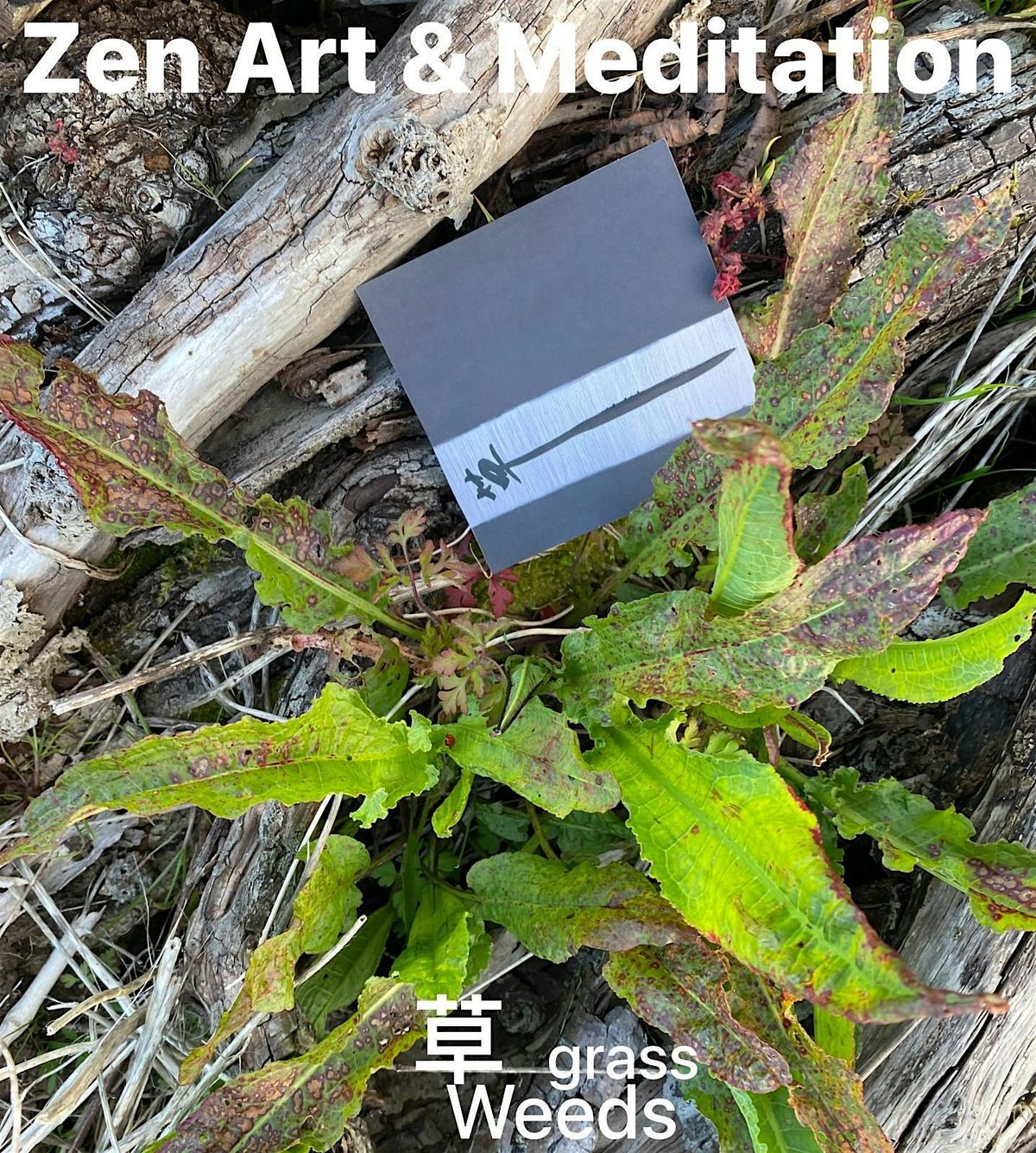 Zen Art & Meditation @ Cass Art