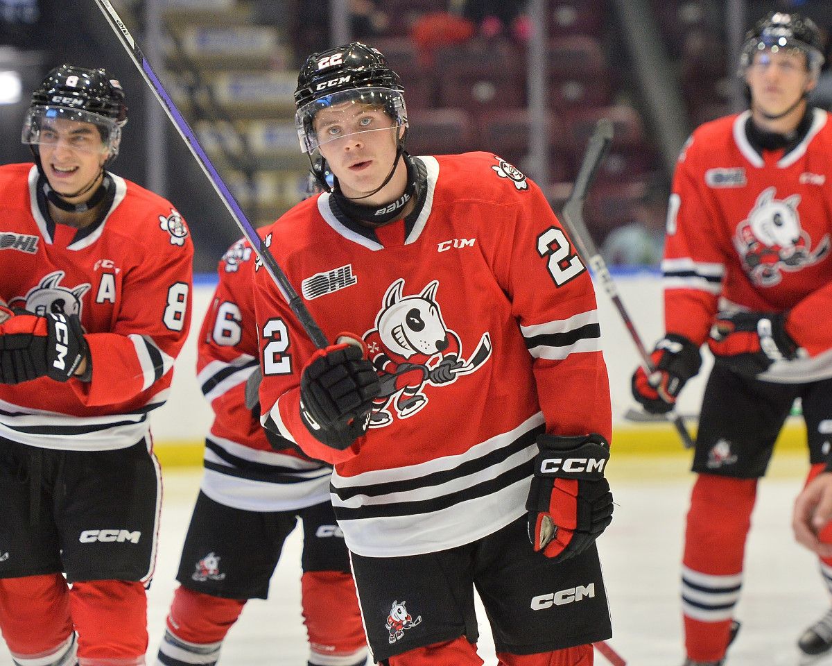 Niagara IceDogs (Hockey)