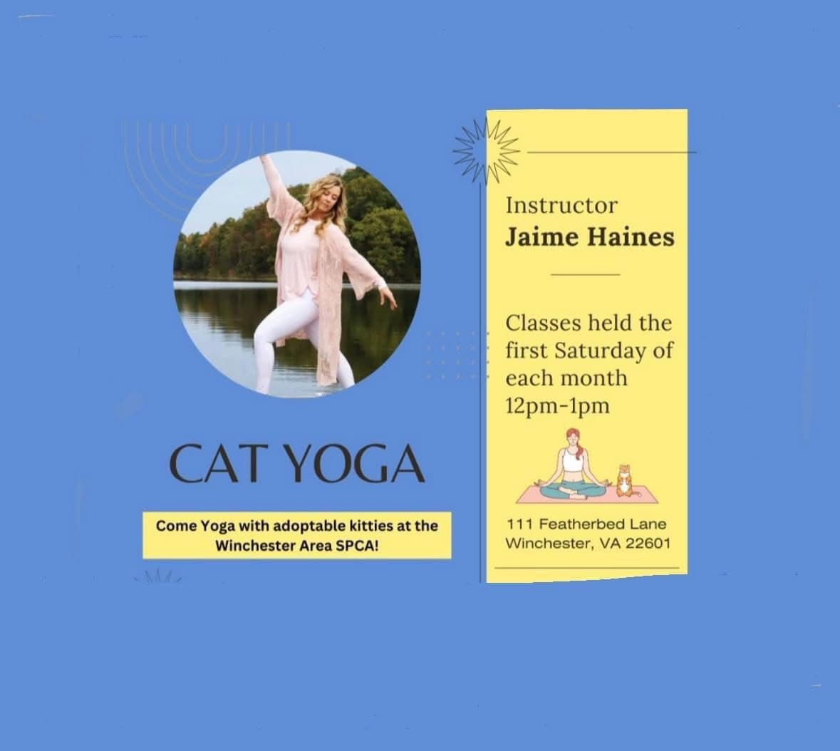 Cat Yoga - January 2025