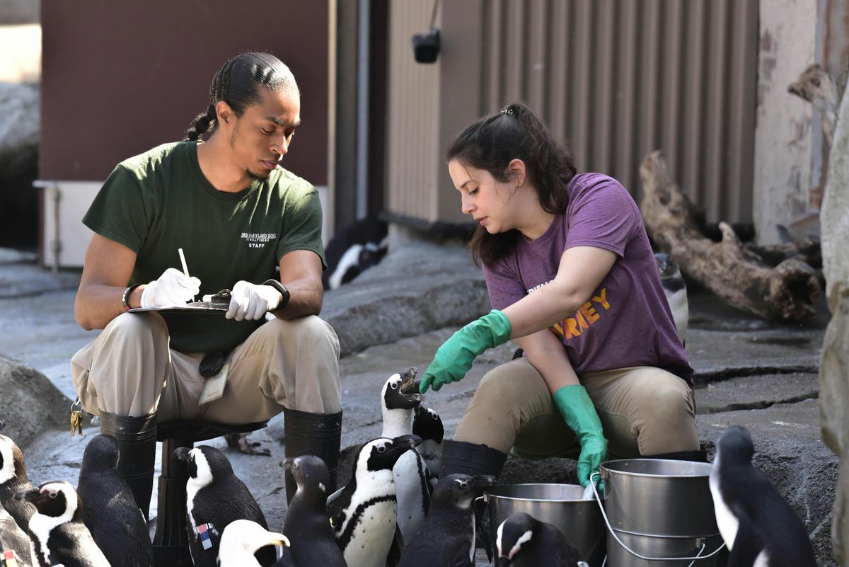 4-H Explores Careers @ the Maryland Zoo