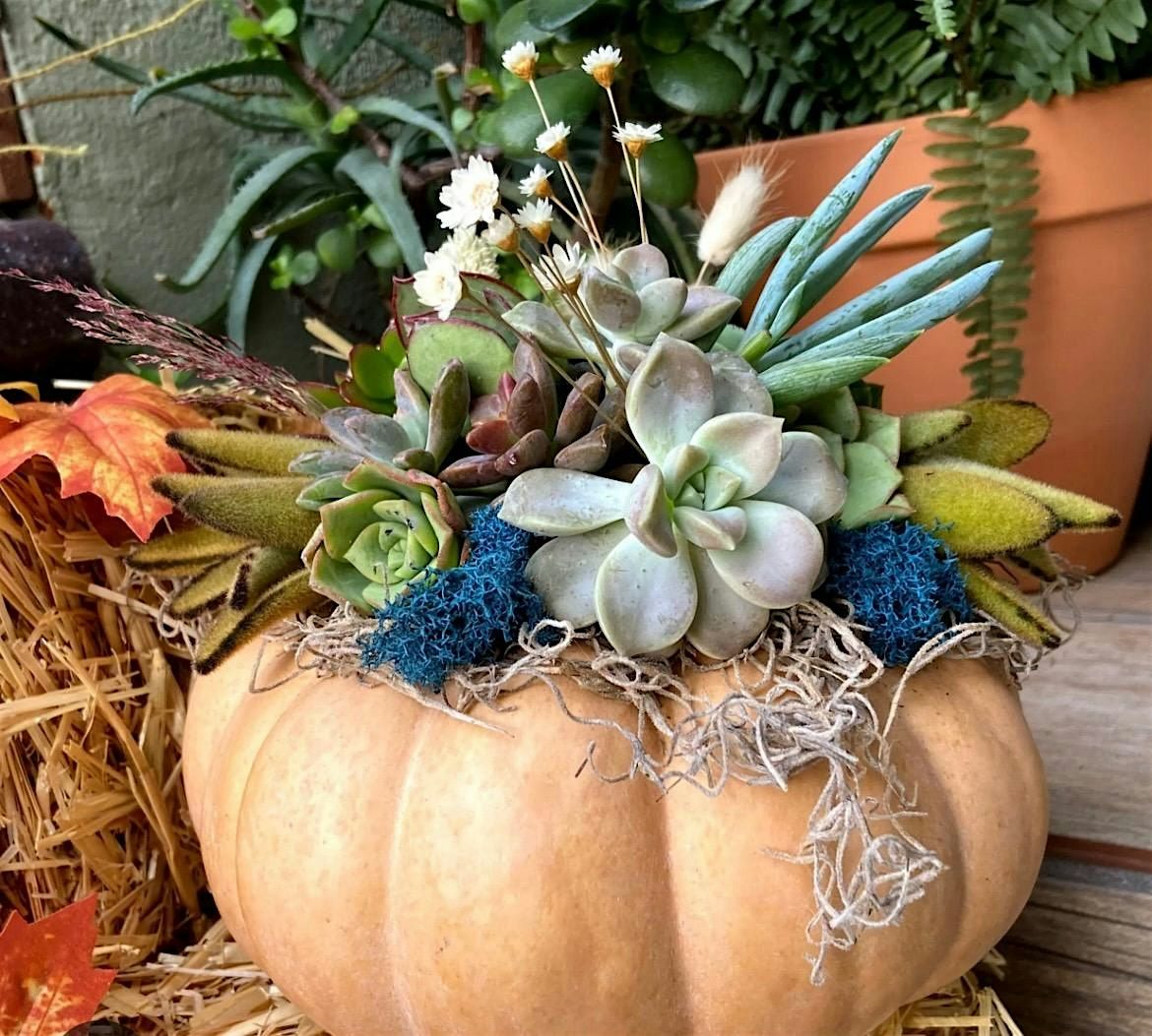 Pumpkin  Floral Class