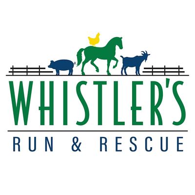 Whistler's Run & Rescue