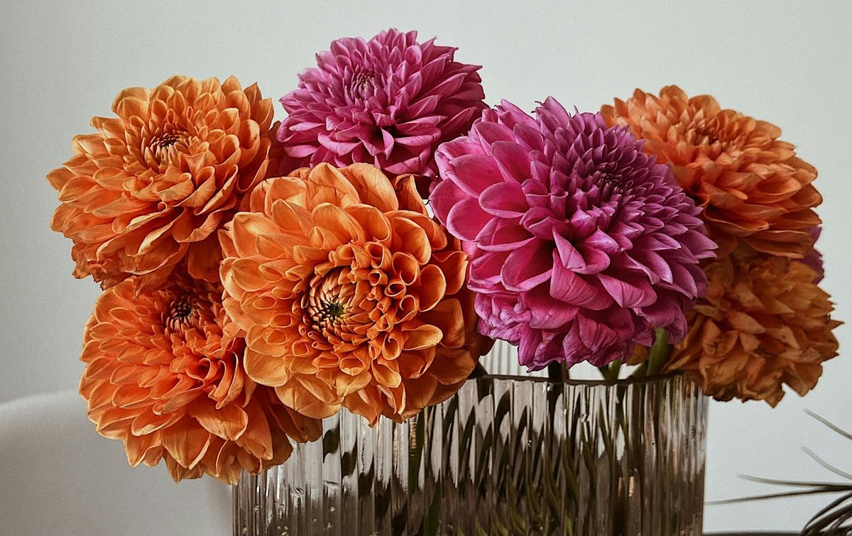 Dahlia Season! Floral Arranging Workshop with Midtown Bramble & Bloom