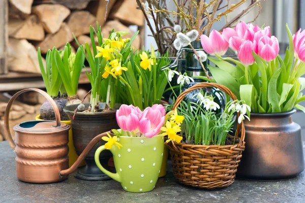 Spring Bulb Table Arrangement Workshop