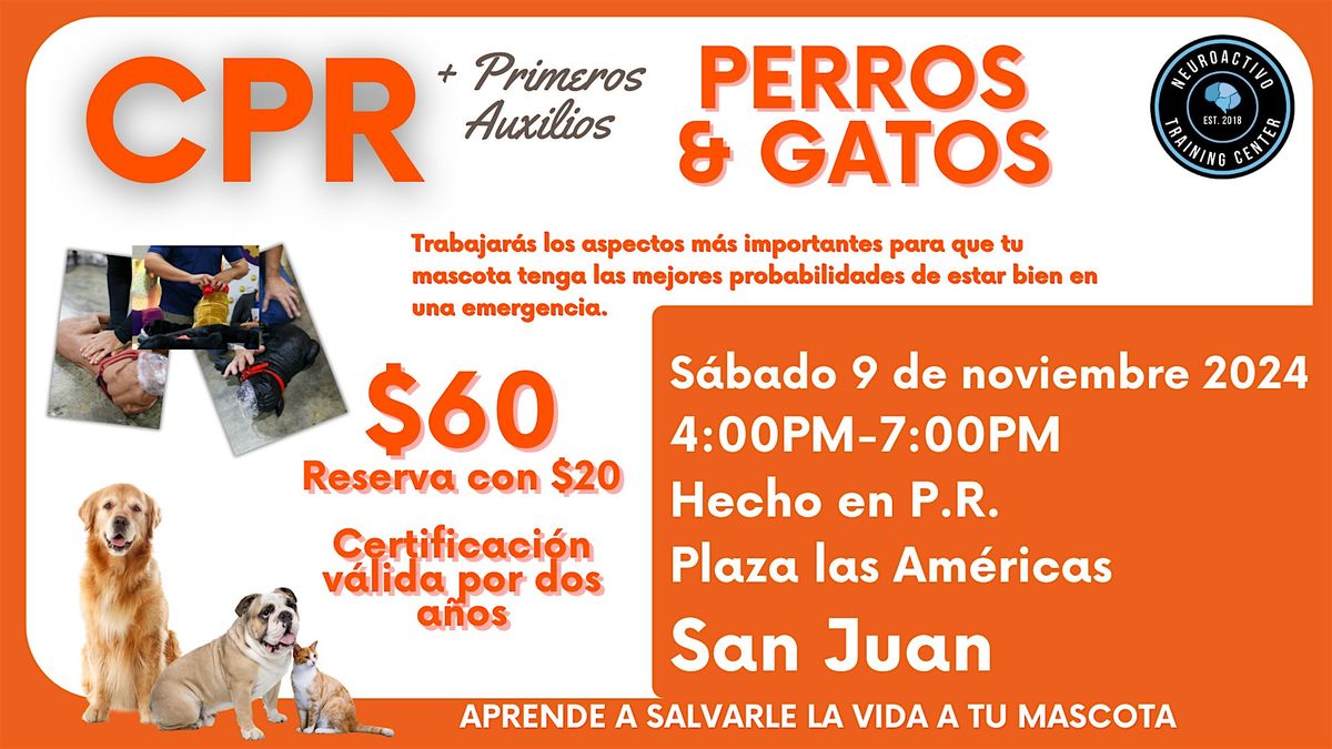 Curso de CPR y Primeros Auxilios para Perros y Gatos San Juan