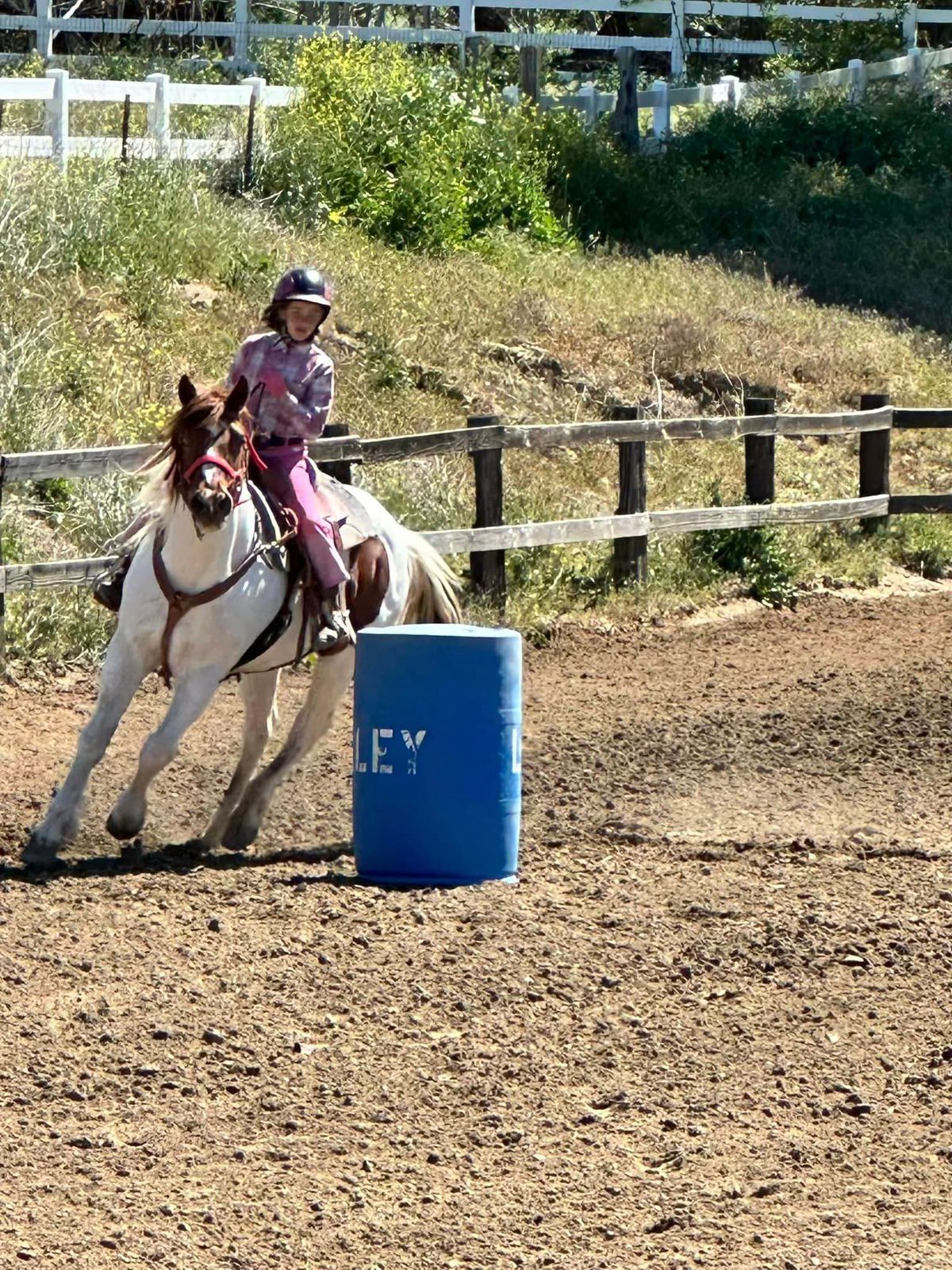 LVIA Gymkhana Playday - October 2024