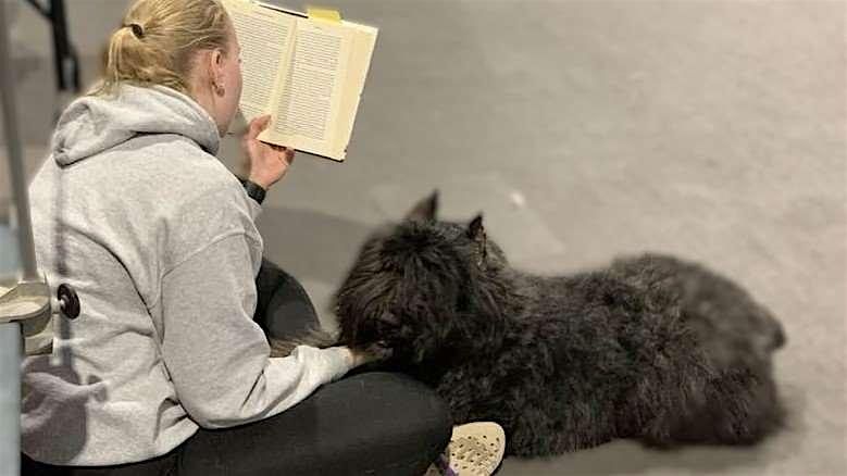 Using Psychic Skills to Connect with Animals