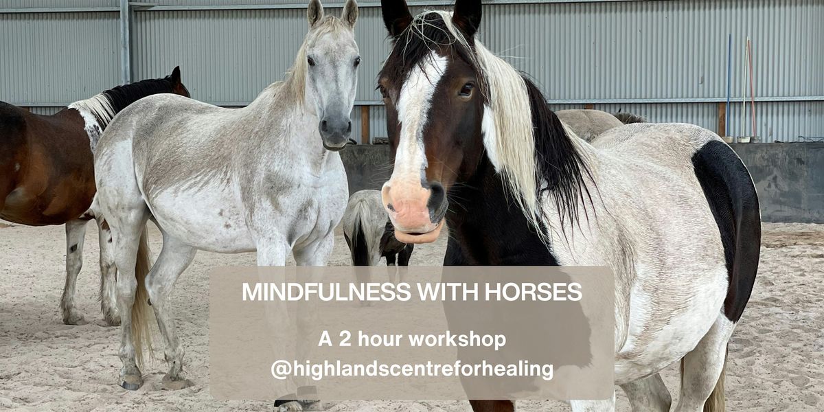 Mindfulness With Horses Workshop