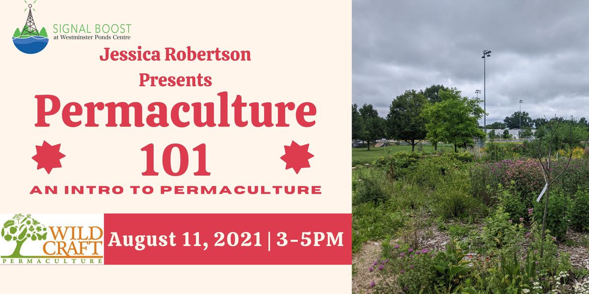 Permaculture 101: An Intro to Permaculture