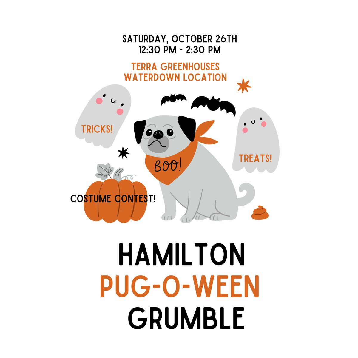 Pug-O-Ween x Terra Waterdown