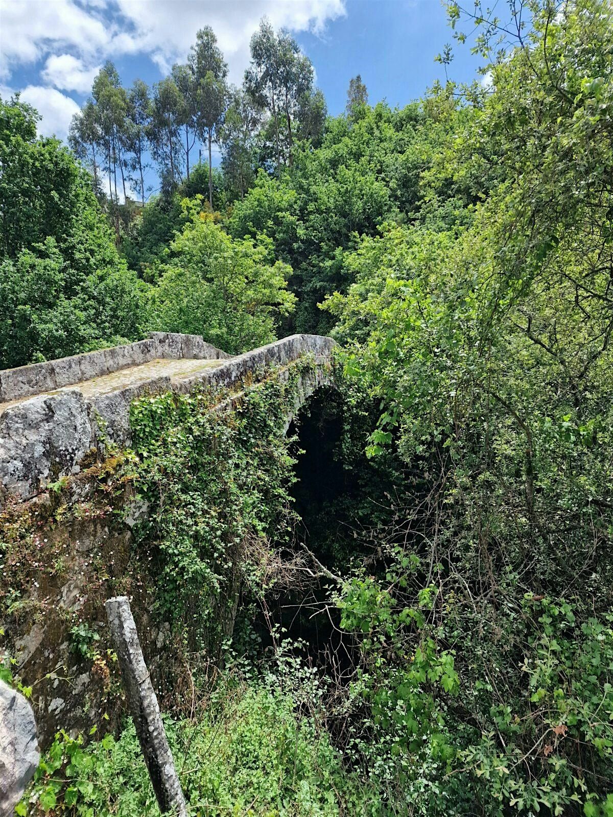 Ponte Velha and A\u00e7ude da Moreira (just for The VALLEY guests)