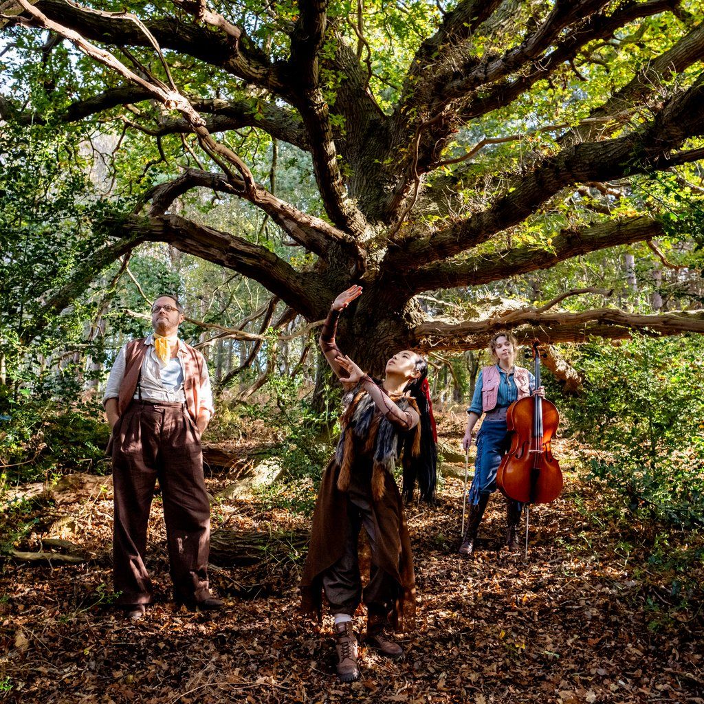 The Ancient Oak of Baldor