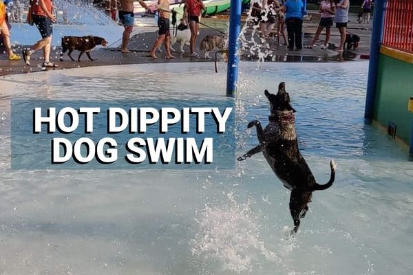 Hot Dippity Dog Swim