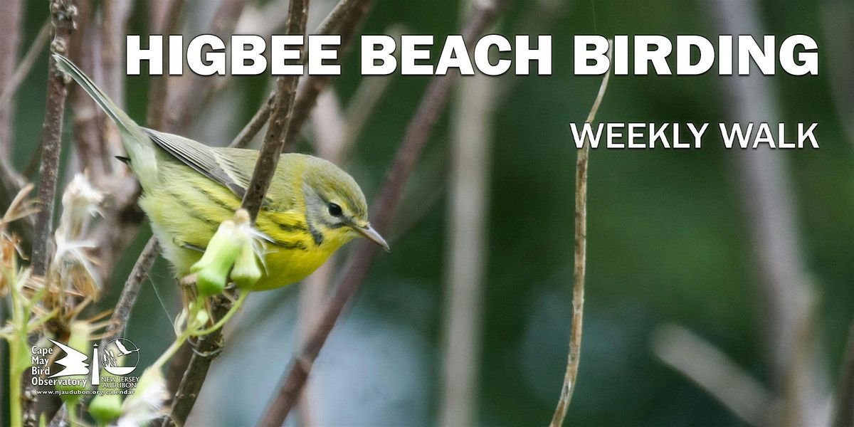 Higbee Beach Birding