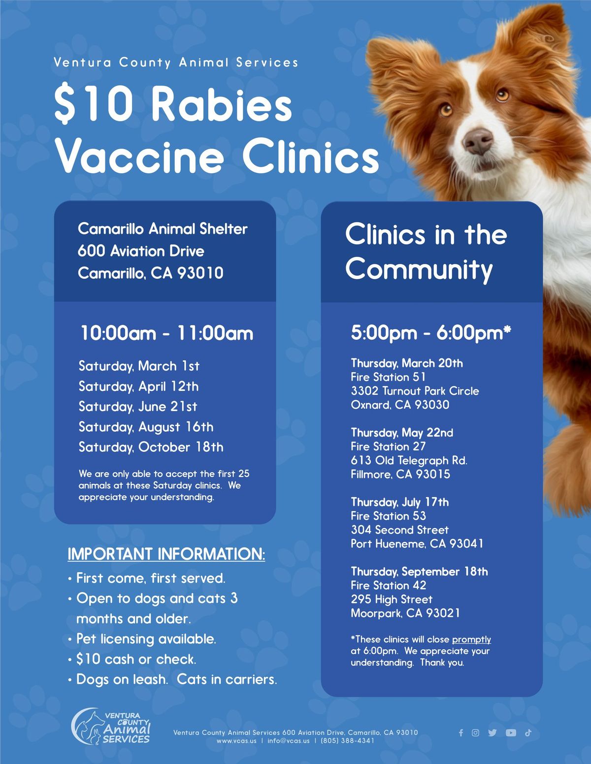 $10 Rabies Vaccine Clinic