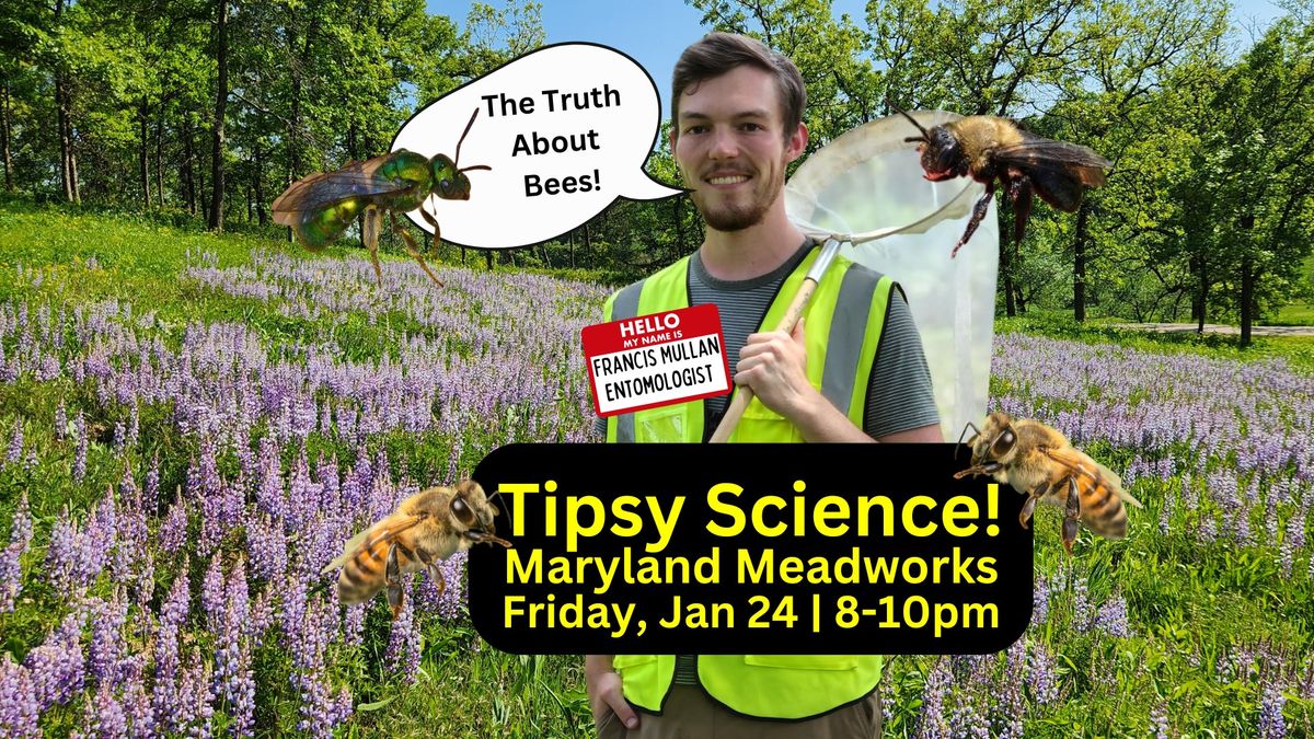 TIPSY SCIENCE: The Truth About Bees!