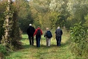 Guided walk: Summer Birds