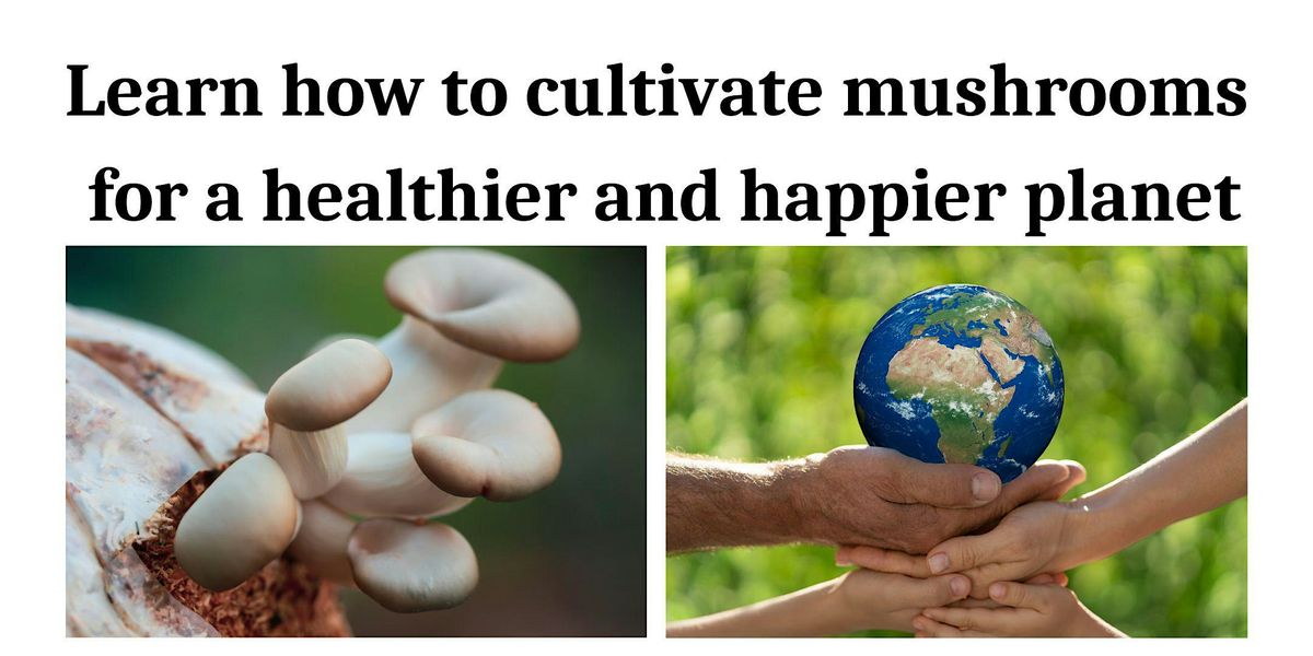 Learn how to cultivate mushrooms for a healthier and happier planet.