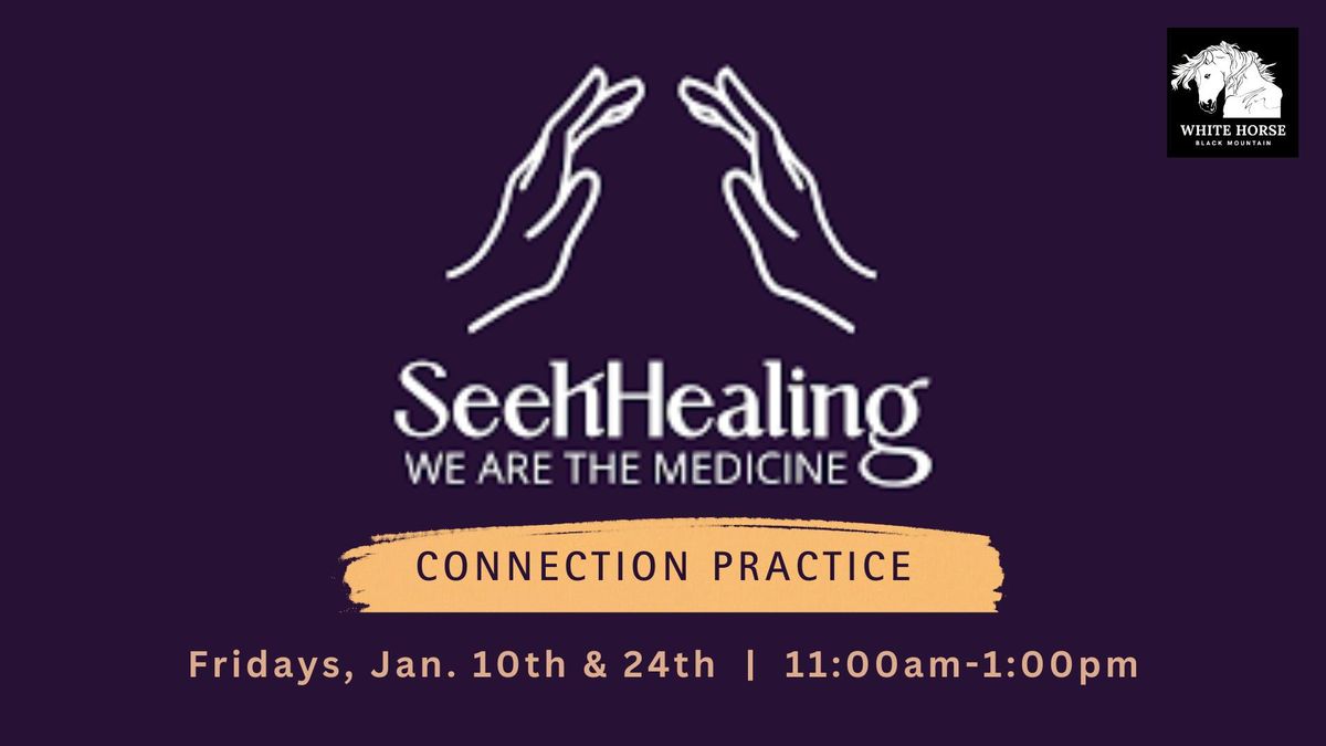 Seek Healing Connection Practice