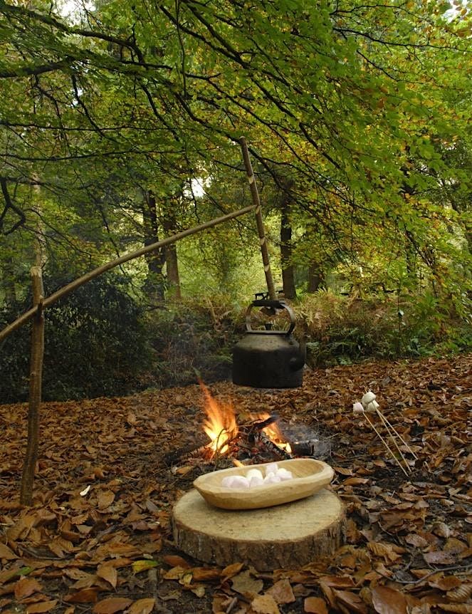 Toddler Forest Fun at Stover Country Park