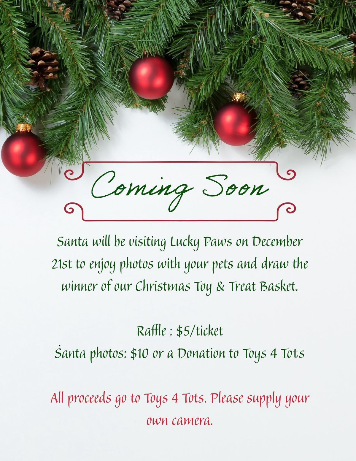 Santa's Visit to Lucky Paws