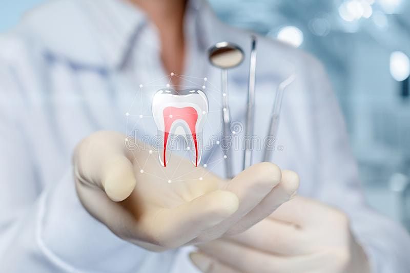 Anatomically Directed Endodontics: Ensuring Biologic and Functional Success