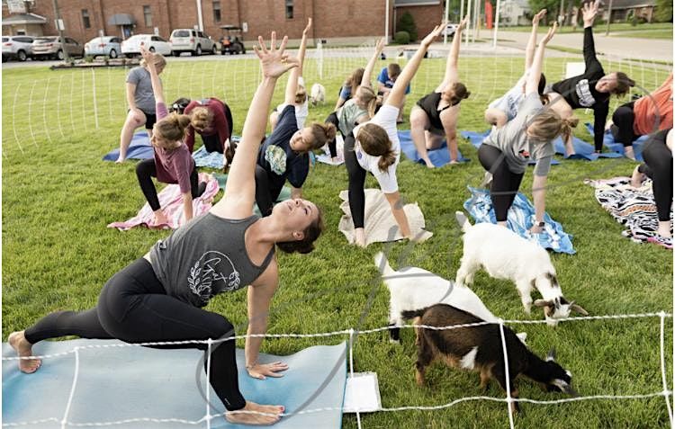 Goat Yoga @Willoughby Farm  Fall Day- Collinsville, Illinois