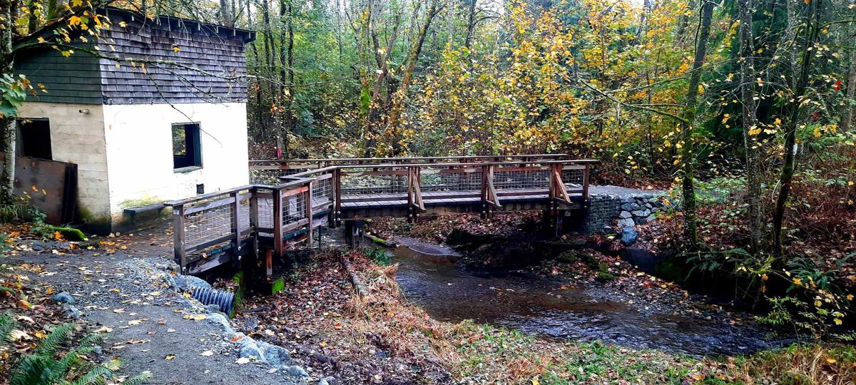 Pumphouse Bridge 5 Mile Trail Run\/Walk