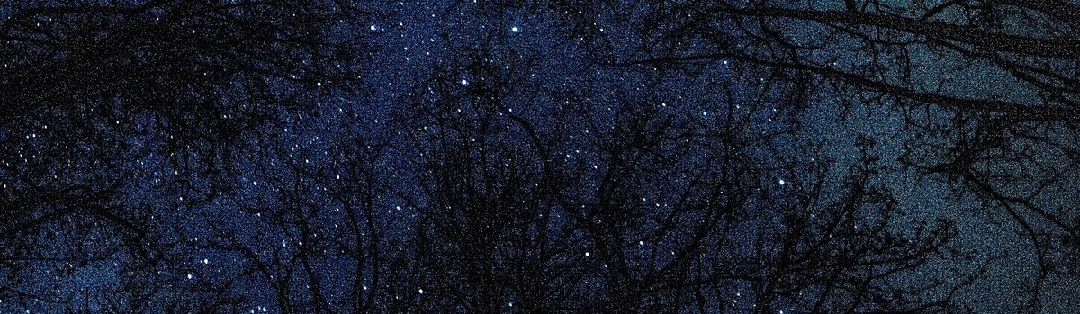 Starry Night: Constellation Talk and Stargazing Experience