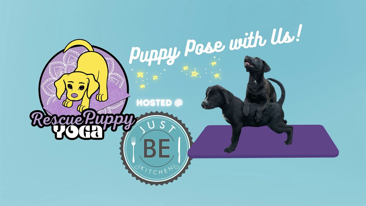 Rescue Puppy Yoga -  Just BE Kitchen