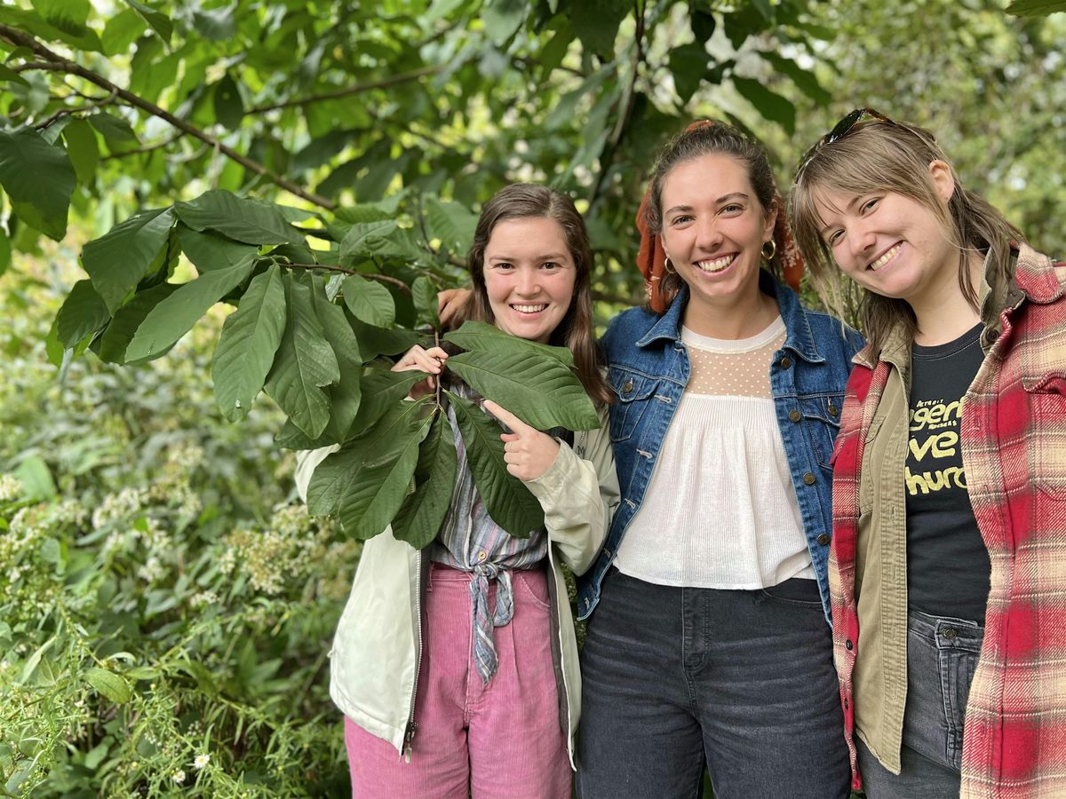 Paw Paw Party at Garden Dreams