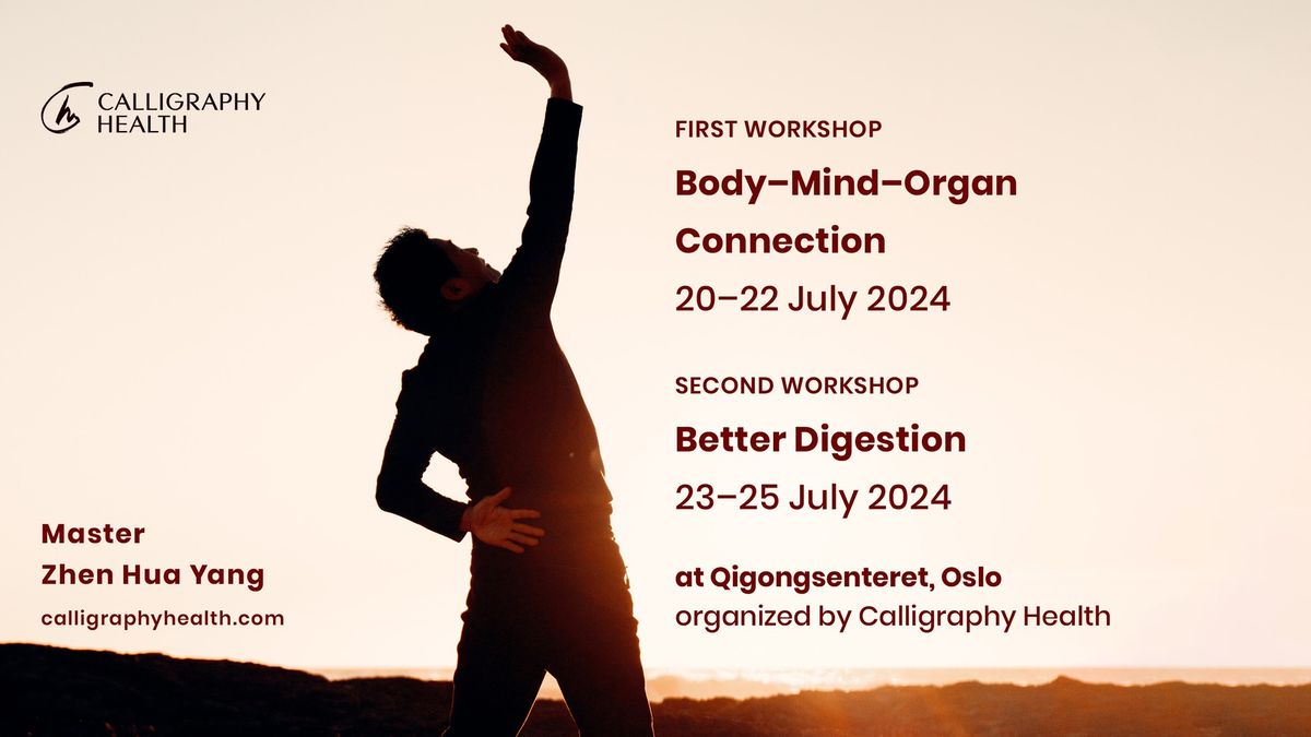 Master Zhen Hua Yang in Oslo: Body\u2013Mind\u2013Organ Connection + Better Digestion Workshops
