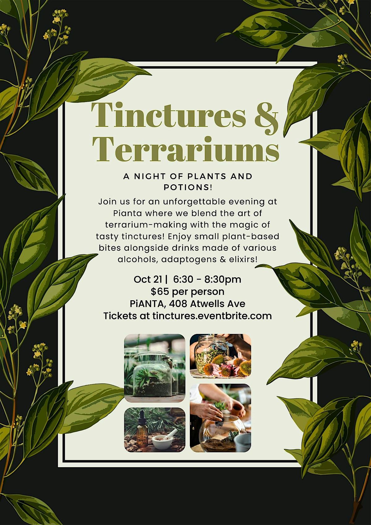 Tinctures & Terrariums