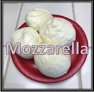 Cheesemaking - MOZZARELLA