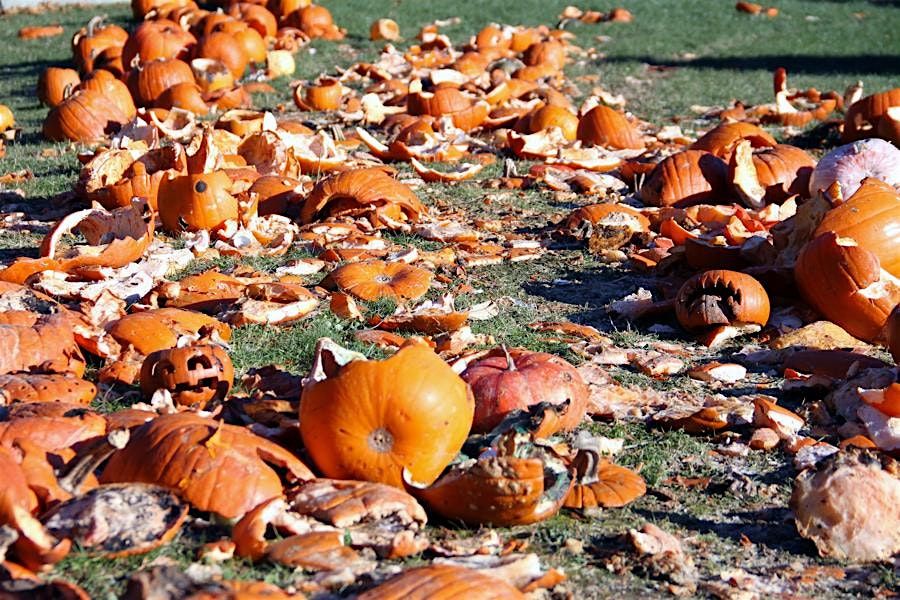 Pumpkin Smash Shuttle 12 Noon from Beverly Airport