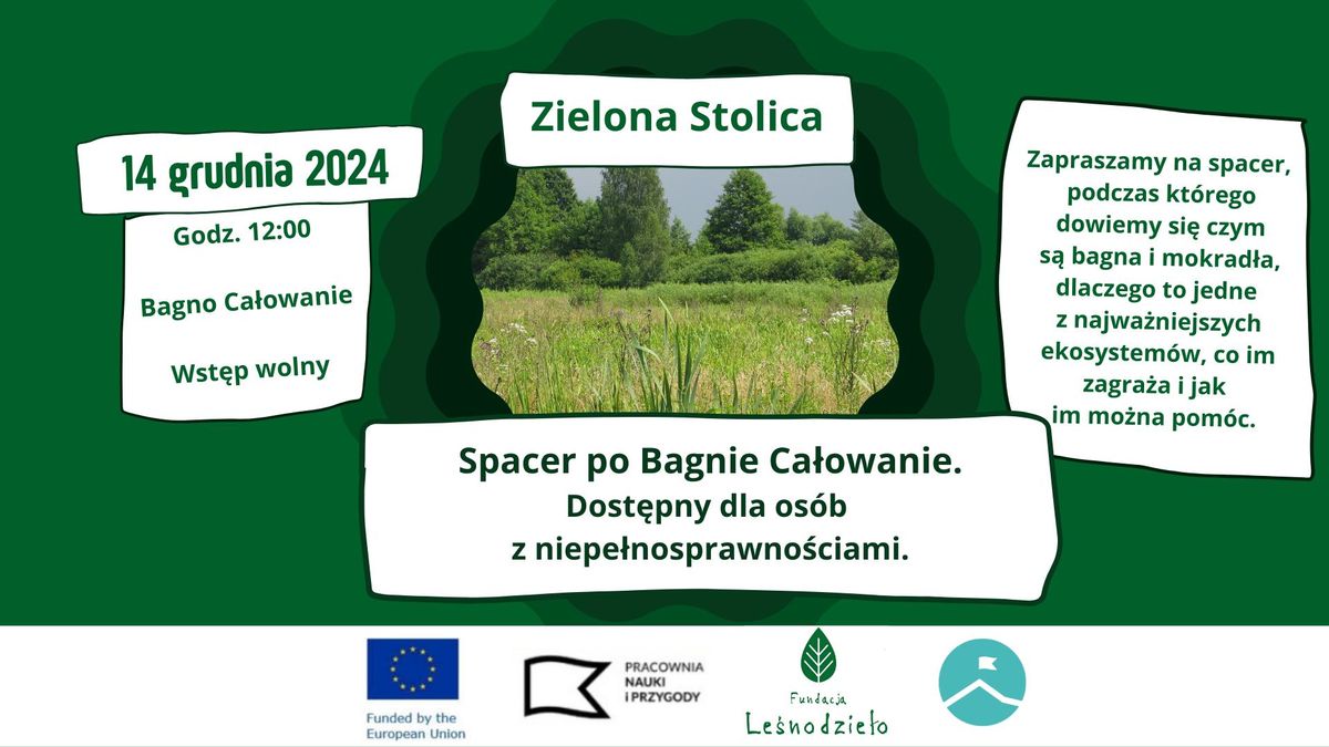 Zielona Stolica: Spacer na Bagnie Ca\u0142owanie