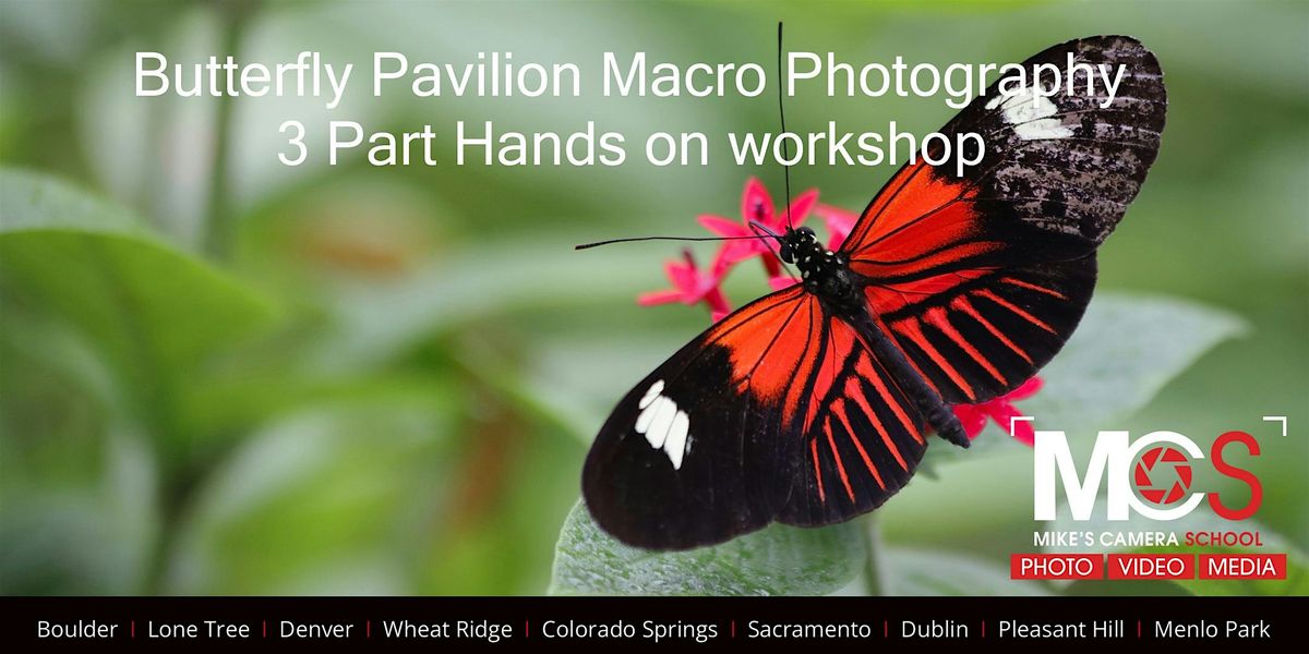 Macro Photography at Butterfly Pavilion - 3 Part workshop