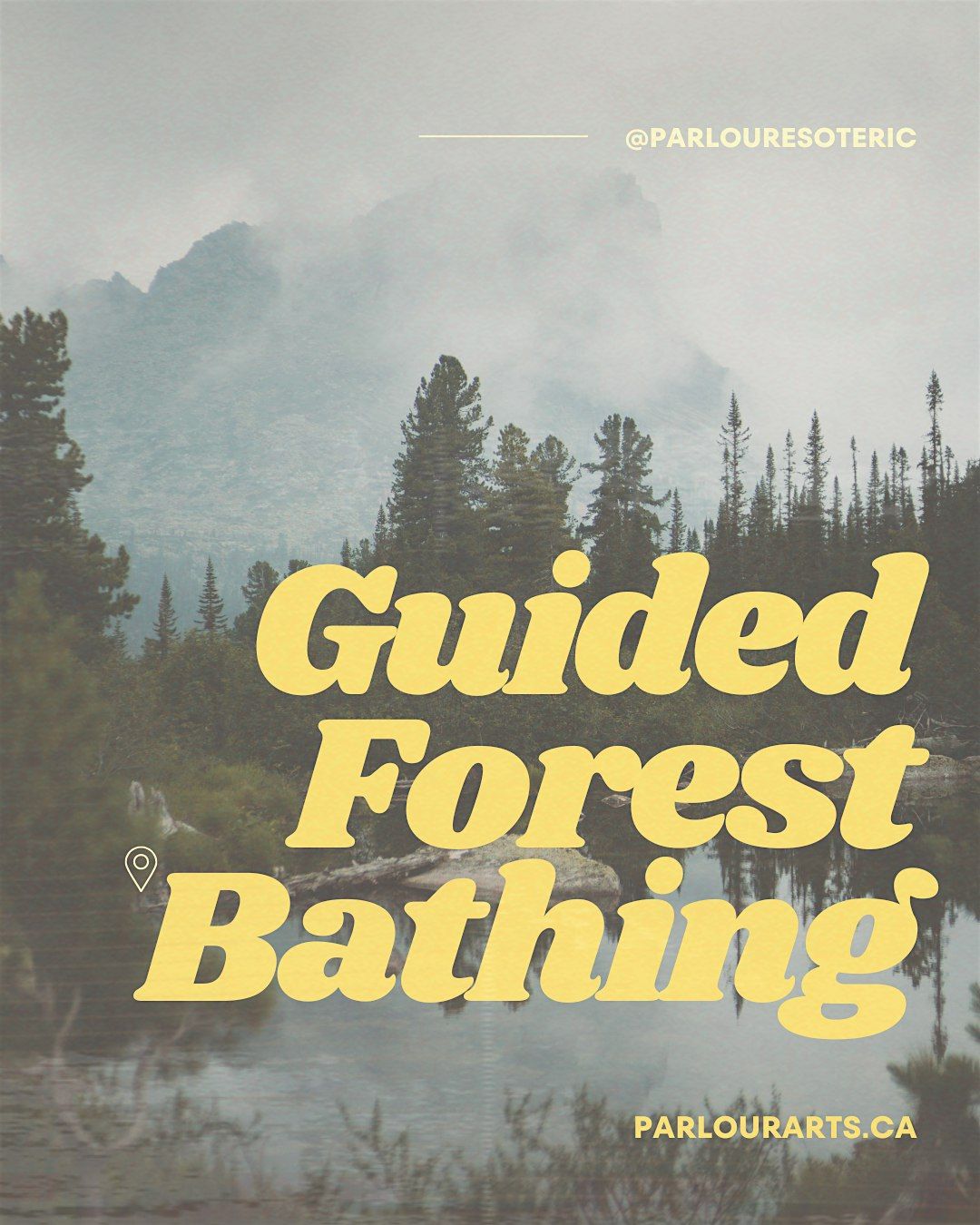 Guided Forest Bathing Experience