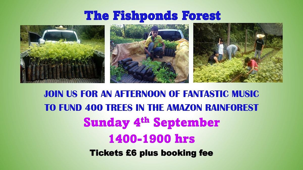 Fishponds Forest - funding Amazon rainforest trees music event