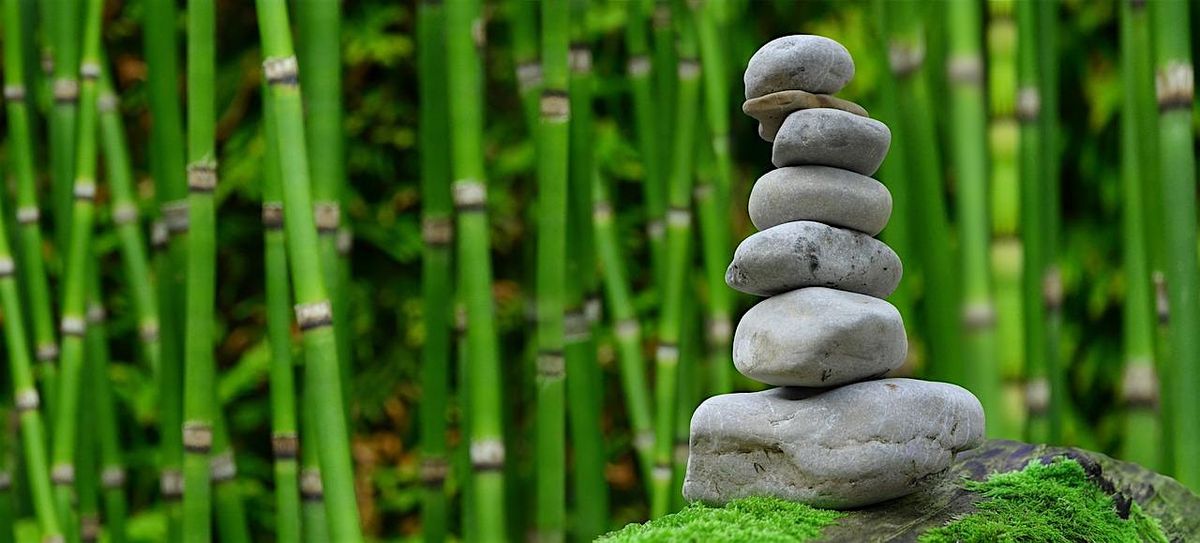 Meditation Foundations:  Stable Footing in a Shaky World