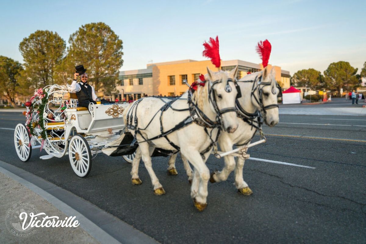 Festival of Lights & Tree Lighting